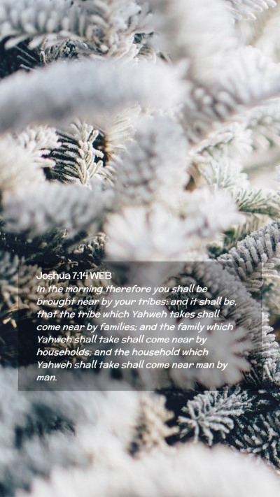 Picture 02 - Joshua 7:14 WEB Mobile Phone Wallpaper - In the morning therefore you shall be brought - Mobile Bible Verse Wallpaper
