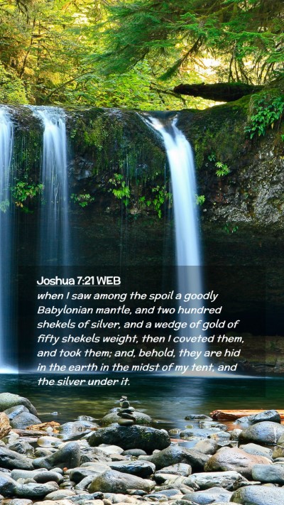 Picture 02 - Joshua 7:21 WEB Mobile Phone Wallpaper - when I saw among the spoil a goodly Babylonian - Mobile Bible Verse Wallpaper