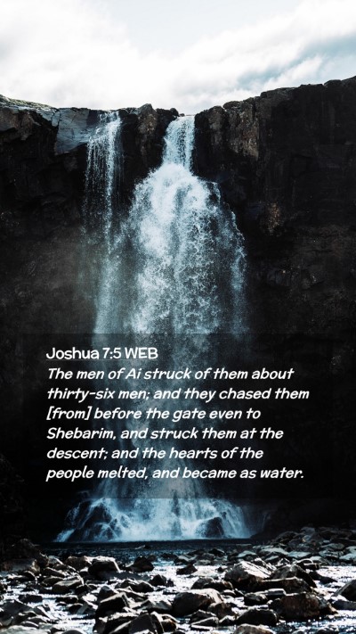 Picture 02 - Joshua 7:5 WEB Mobile Phone Wallpaper - The men of Ai struck of them about thirty-six - Mobile Bible Verse Wallpaper