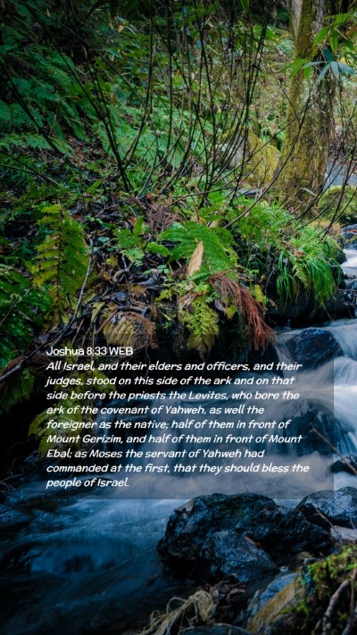 Picture 02 - Joshua 8:33 WEB Mobile Phone Wallpaper - All Israel, and their elders and officers, and - Mobile Bible Verse Wallpaper