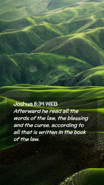 Picture 02 - Joshua 8:34 WEB Mobile Phone Wallpaper - Afterward he read all the words of the law, the - Mobile Bible Verse Wallpaper
