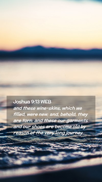 Picture 02 - Joshua 9:13 WEB Mobile Phone Wallpaper - and these wine-skins, which we filled, were new; - Mobile Bible Verse Wallpaper