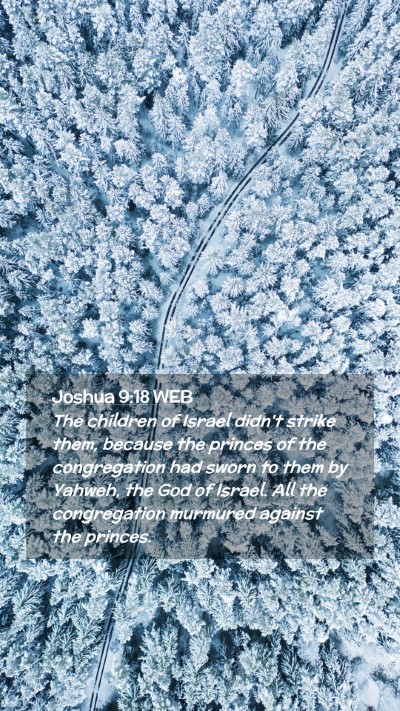 Picture 02 - Joshua 9:18 WEB Mobile Phone Wallpaper - The children of Israel didn't strike them, - Mobile Bible Verse Wallpaper
