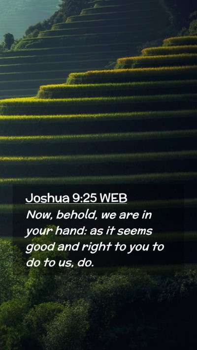 Picture 02 - Joshua 9:25 WEB Mobile Phone Wallpaper - Now, behold, we are in your hand: as it seems - Mobile Bible Verse Wallpaper