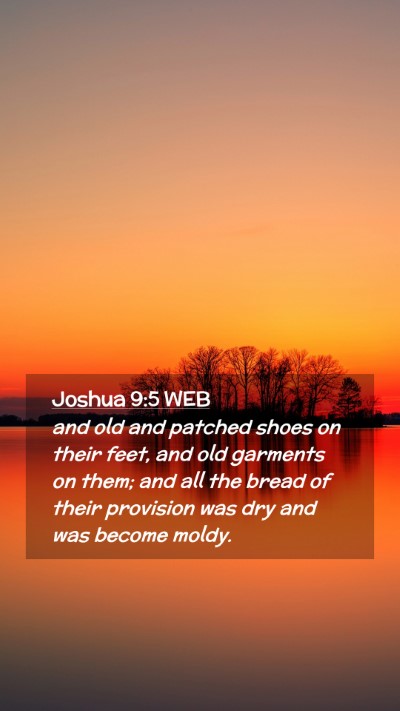Picture 02 - Joshua 9:5 WEB Mobile Phone Wallpaper - and old and patched shoes on their feet, and old - Mobile Bible Verse Wallpaper