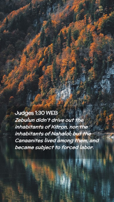 Picture 02 - Judges 1:30 WEB Mobile Phone Wallpaper - Zebulun didn't drive out the inhabitants of - Mobile Bible Verse Wallpaper