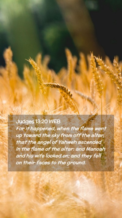 Picture 02 - Judges 13:20 WEB Mobile Phone Wallpaper - For it happened, when the flame went up toward - Mobile Bible Verse Wallpaper