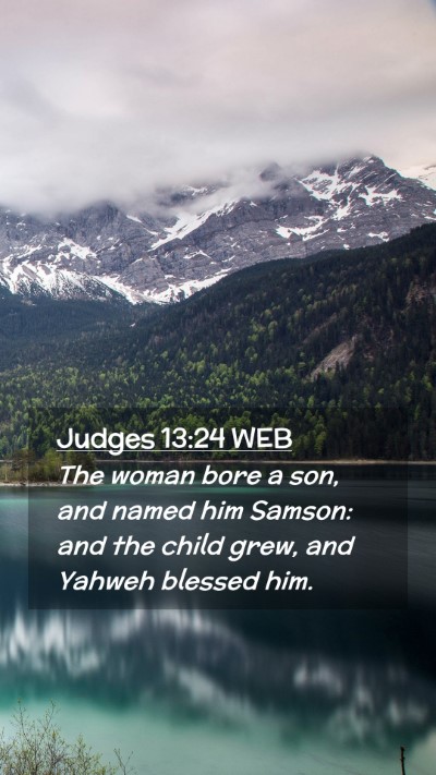 Picture 02 - Judges 13:24 WEB Mobile Phone Wallpaper - The woman bore a son, and named him Samson: and - Mobile Bible Verse Wallpaper