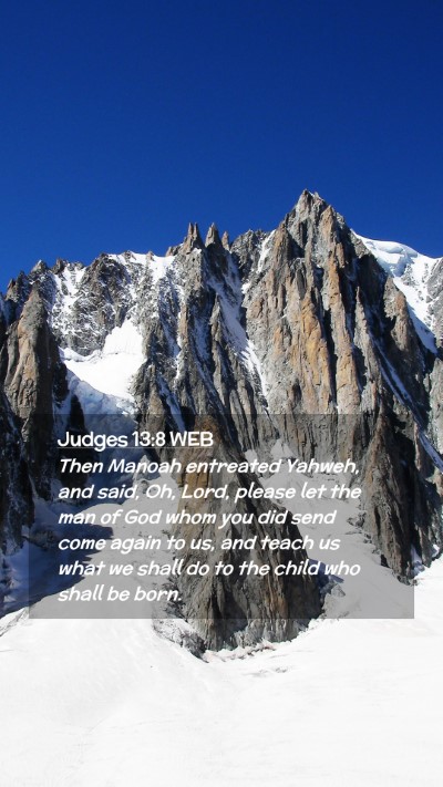 Picture 02 - Judges 13:8 WEB Mobile Phone Wallpaper - Then Manoah entreated Yahweh, and said, Oh, Lord, - Mobile Bible Verse Wallpaper