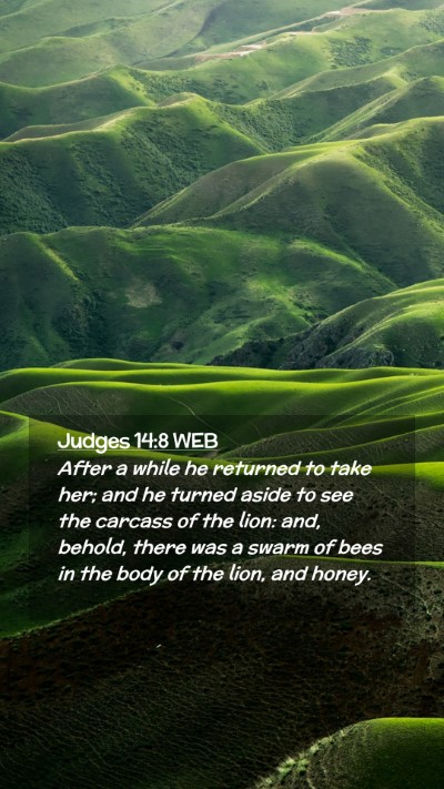 Picture 02 - Judges 14:8 WEB Mobile Phone Wallpaper - After a while he returned to take her; and he - Mobile Bible Verse Wallpaper
