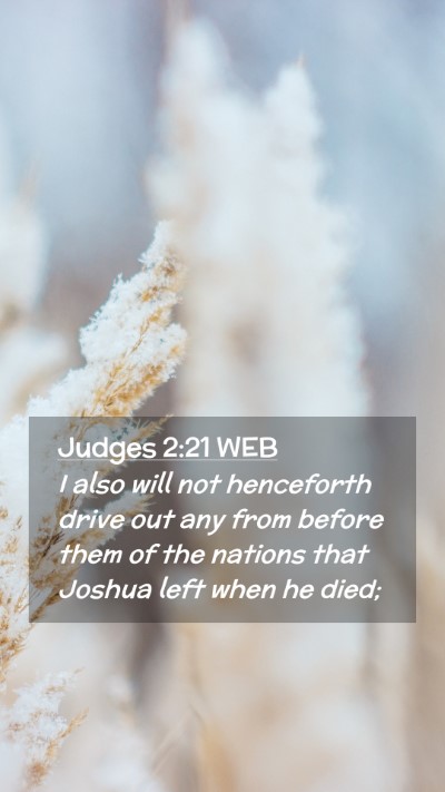 Picture 02 - Judges 2:21 WEB Mobile Phone Wallpaper - I also will not henceforth drive out any from - Mobile Bible Verse Wallpaper