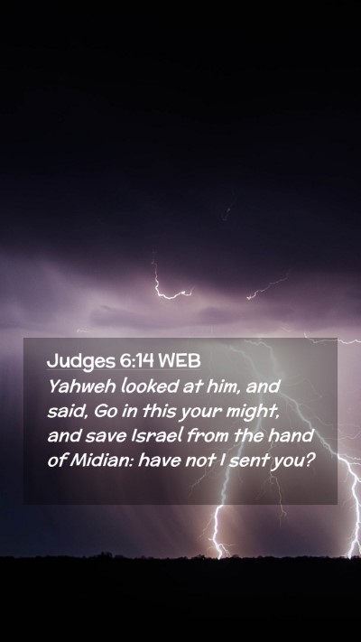 Picture 02 - Judges 6:14 WEB Mobile Phone Wallpaper - Yahweh looked at him, and said, Go in this your - Mobile Bible Verse Wallpaper