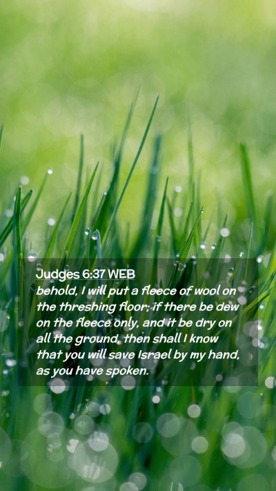 Picture 02 - Judges 6:37 WEB Mobile Phone Wallpaper - behold, I will put a fleece of wool on the - Mobile Bible Verse Wallpaper
