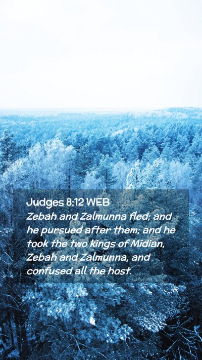 Picture 02 - Judges 8:12 WEB Mobile Phone Wallpaper - Zebah and Zalmunna fled; and he pursued after - Mobile Bible Verse Wallpaper