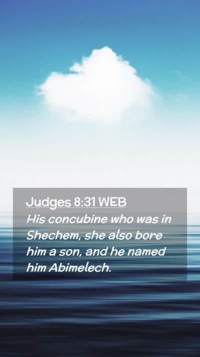 Picture 02 - Judges 8:31 WEB Mobile Phone Wallpaper - His concubine who was in Shechem, she also bore - Mobile Bible Verse Wallpaper