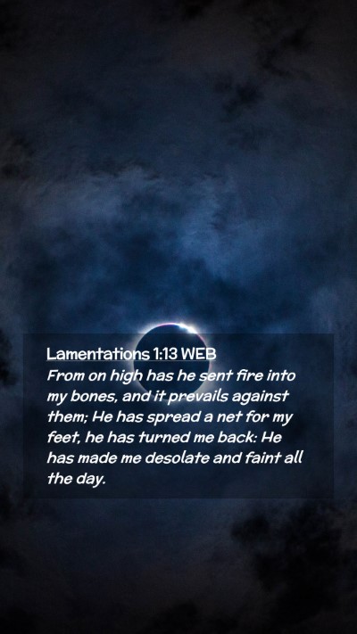 Picture 02 - Lamentations 1:13 WEB Mobile Phone Wallpaper - From on high has he sent fire into my bones, and - Mobile Bible Verse Wallpaper
