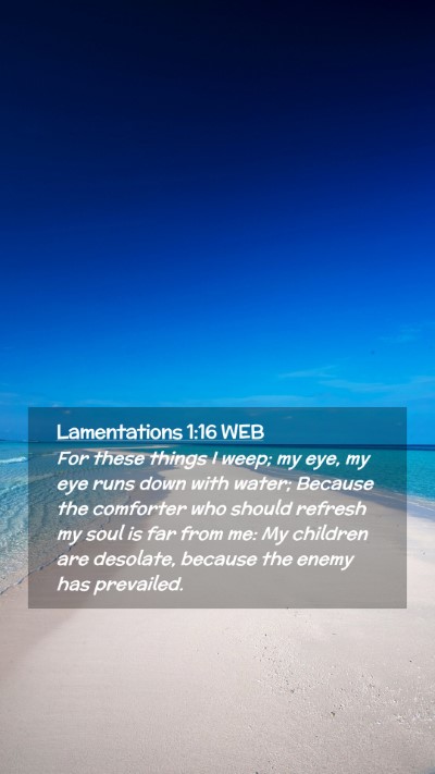Picture 02 - Lamentations 1:16 WEB Mobile Phone Wallpaper - For these things I weep; my eye, my eye runs down - Mobile Bible Verse Wallpaper