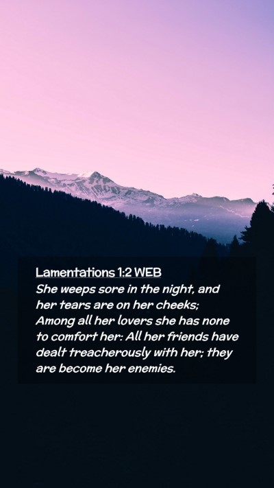 Picture 02 - Lamentations 1:2 WEB Mobile Phone Wallpaper - She weeps sore in the night, and her tears are on - Mobile Bible Verse Wallpaper