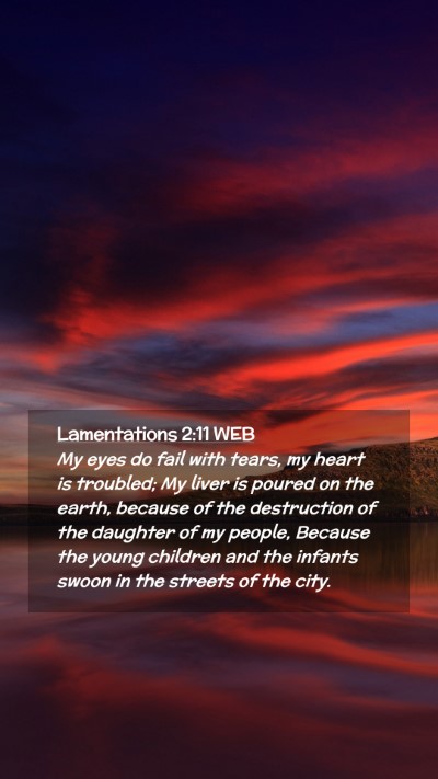 Picture 02 - Lamentations 2:11 WEB Mobile Phone Wallpaper - My eyes do fail with tears, my heart is troubled; - Mobile Bible Verse Wallpaper