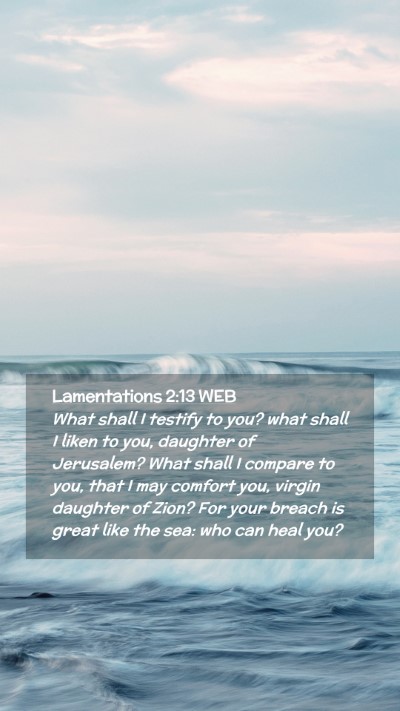 Picture 02 - Lamentations 2:13 WEB Mobile Phone Wallpaper - What shall I testify to you? what shall I liken - Mobile Bible Verse Wallpaper