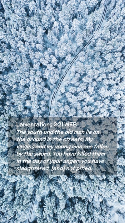 Picture 02 - Lamentations 2:21 WEB Mobile Phone Wallpaper - The youth and the old man lie on the ground in - Mobile Bible Verse Wallpaper