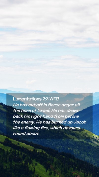Picture 02 - Lamentations 2:3 WEB Mobile Phone Wallpaper - He has cut off in fierce anger all the horn of - Mobile Bible Verse Wallpaper