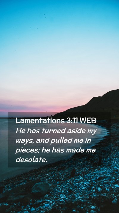 Picture 02 - Lamentations 3:11 WEB Mobile Phone Wallpaper - He has turned aside my ways, and pulled me in - Mobile Bible Verse Wallpaper