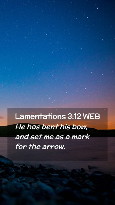 Picture 02 - Lamentations 3:12 WEB Mobile Phone Wallpaper - He has bent his bow, and set me as a mark for the - Mobile Bible Verse Wallpaper