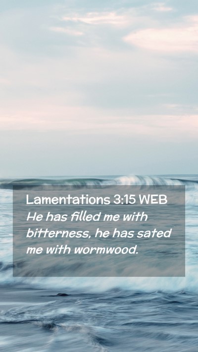 Picture 02 - Lamentations 3:15 WEB Mobile Phone Wallpaper - He has filled me with bitterness, he has sated me - Mobile Bible Verse Wallpaper