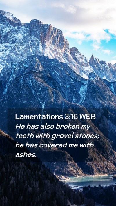 Picture 02 - Lamentations 3:16 WEB Mobile Phone Wallpaper - He has also broken my teeth with gravel stones; - Mobile Bible Verse Wallpaper