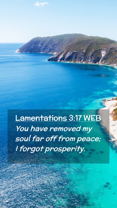 Picture 02 - Lamentations 3:17 WEB Mobile Phone Wallpaper - You have removed my soul far off from peace; I - Mobile Bible Verse Wallpaper