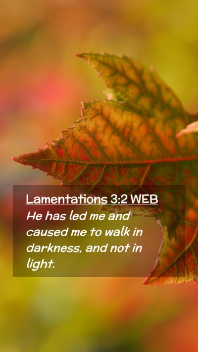 Picture 02 - Lamentations 3:2 WEB Mobile Phone Wallpaper - He has led me and caused me to walk in darkness, - Mobile Bible Verse Wallpaper