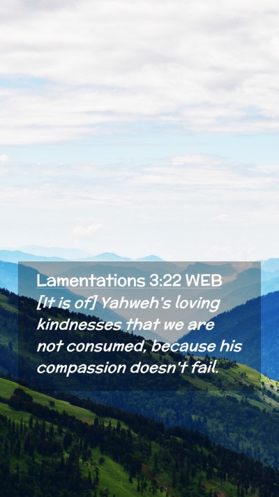 Picture 02 - Lamentations 3:22 WEB Mobile Phone Wallpaper - [It is of] Yahweh's loving kindnesses that we are - Mobile Bible Verse Wallpaper