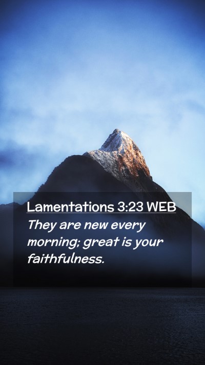 Picture 02 - Lamentations 3:23 WEB Mobile Phone Wallpaper - They are new every morning; great is your - Mobile Bible Verse Wallpaper