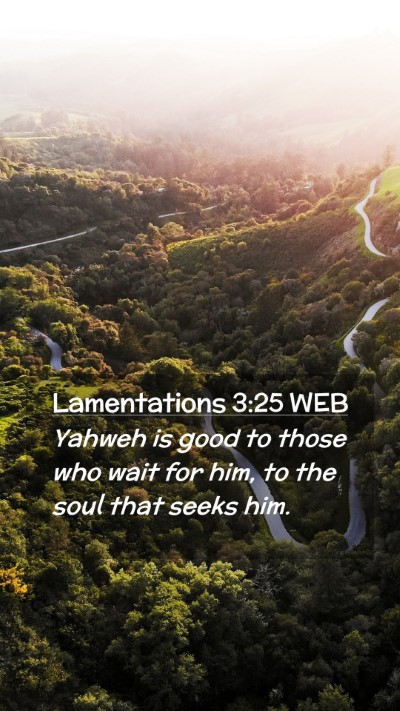 Picture 02 - Lamentations 3:25 WEB Mobile Phone Wallpaper - Yahweh is good to those who wait for him, to the - Mobile Bible Verse Wallpaper