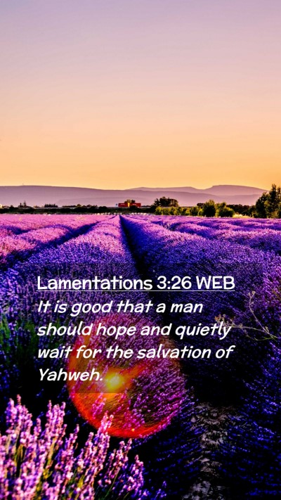 Picture 02 - Lamentations 3:26 WEB Mobile Phone Wallpaper - It is good that a man should hope and quietly - Mobile Bible Verse Wallpaper
