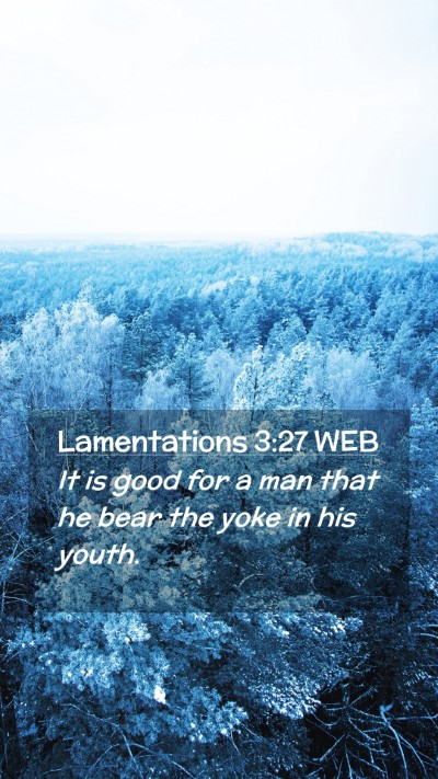 Picture 02 - Lamentations 3:27 WEB Mobile Phone Wallpaper - It is good for a man that he bear the yoke in his - Mobile Bible Verse Wallpaper