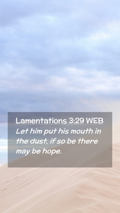 Picture 02 - Lamentations 3:29 WEB Mobile Phone Wallpaper - Let him put his mouth in the dust, if so be there - Mobile Bible Verse Wallpaper