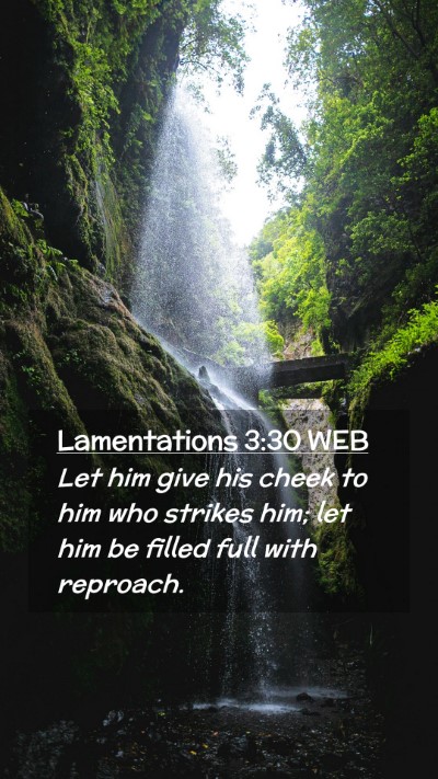Picture 02 - Lamentations 3:30 WEB Mobile Phone Wallpaper - Let him give his cheek to him who strikes him; - Mobile Bible Verse Wallpaper