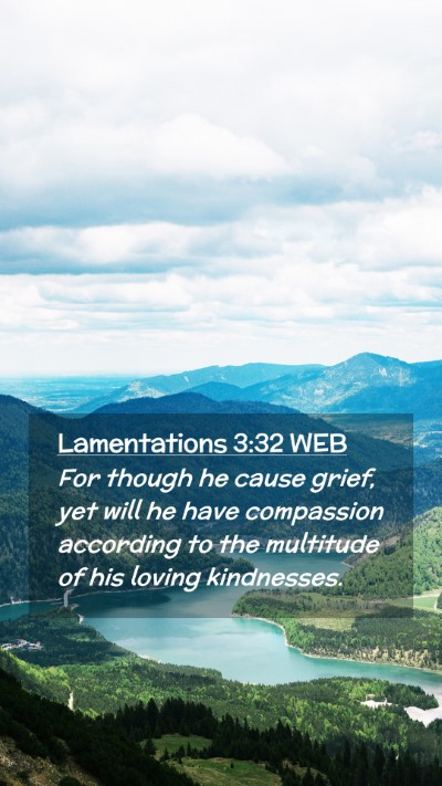 Picture 02 - Lamentations 3:32 WEB Mobile Phone Wallpaper - For though he cause grief, yet will he have - Mobile Bible Verse Wallpaper