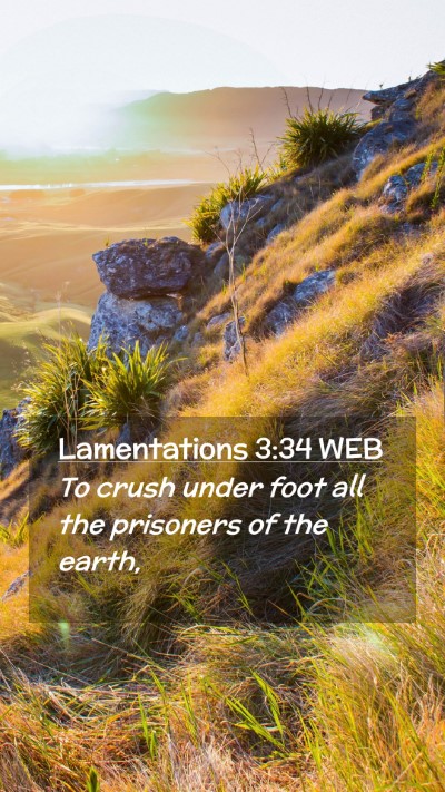 Picture 02 - Lamentations 3:34 WEB Mobile Phone Wallpaper - To crush under foot all the prisoners of the - Mobile Bible Verse Wallpaper