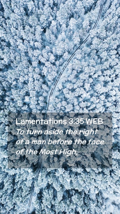 Picture 02 - Lamentations 3:35 WEB Mobile Phone Wallpaper - To turn aside the right of a man before the face - Mobile Bible Verse Wallpaper