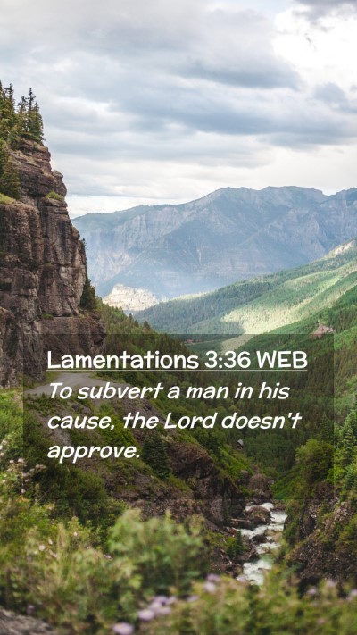 Picture 02 - Lamentations 3:36 WEB Mobile Phone Wallpaper - To subvert a man in his cause, the Lord doesn't - Mobile Bible Verse Wallpaper