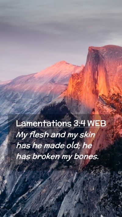 Picture 02 - Lamentations 3:4 WEB Mobile Phone Wallpaper - My flesh and my skin has he made old; he has - Mobile Bible Verse Wallpaper