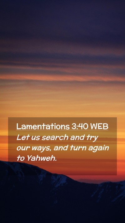 Picture 02 - Lamentations 3:40 WEB Mobile Phone Wallpaper - Let us search and try our ways, and turn again to - Mobile Bible Verse Wallpaper