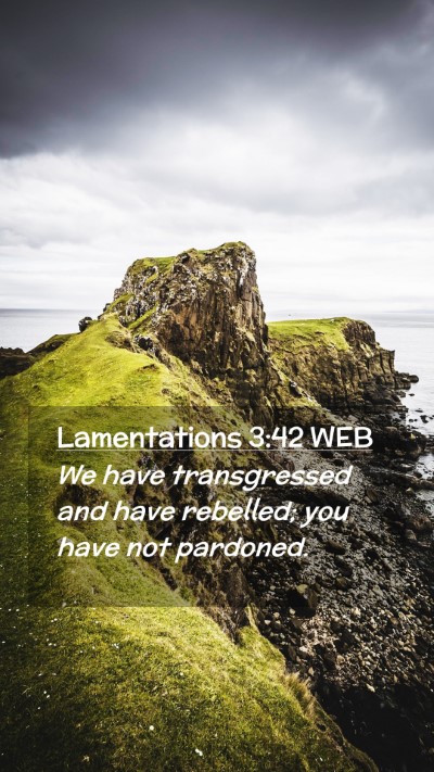 Picture 02 - Lamentations 3:42 WEB Mobile Phone Wallpaper - We have transgressed and have rebelled; you have - Mobile Bible Verse Wallpaper
