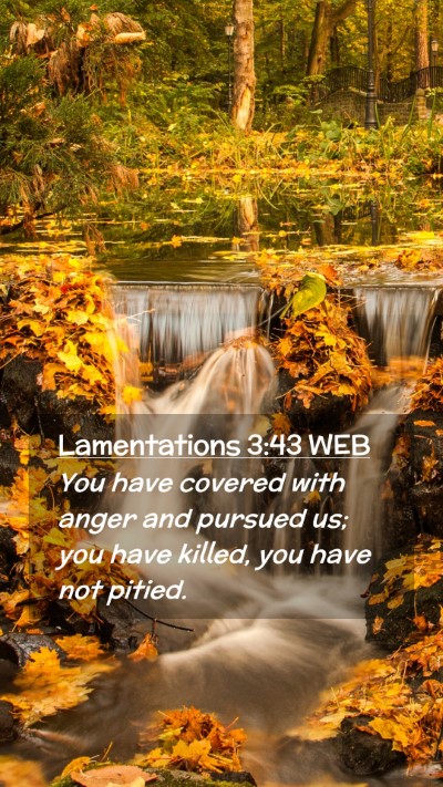 Picture 02 - Lamentations 3:43 WEB Mobile Phone Wallpaper - You have covered with anger and pursued us; you - Mobile Bible Verse Wallpaper
