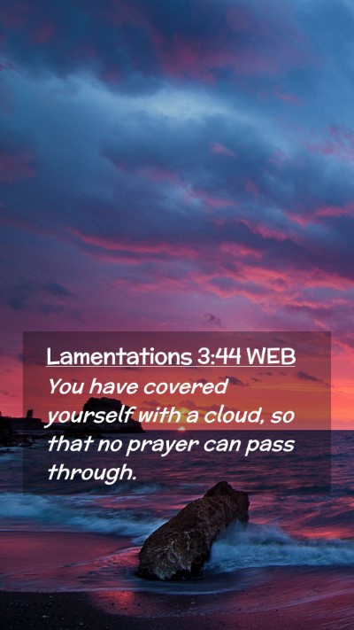 Picture 02 - Lamentations 3:44 WEB Mobile Phone Wallpaper - You have covered yourself with a cloud, so that - Mobile Bible Verse Wallpaper