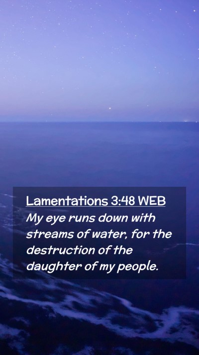 Picture 02 - Lamentations 3:48 WEB Mobile Phone Wallpaper - My eye runs down with streams of water, for the - Mobile Bible Verse Wallpaper