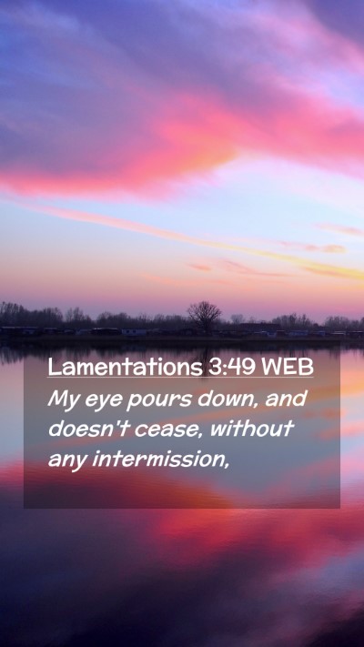 Picture 02 - Lamentations 3:49 WEB Mobile Phone Wallpaper - My eye pours down, and doesn't cease, without any - Mobile Bible Verse Wallpaper